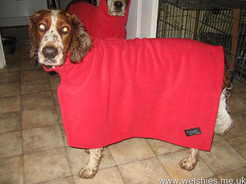 2011-05-15 01.JPG - Modelling our new drying coats